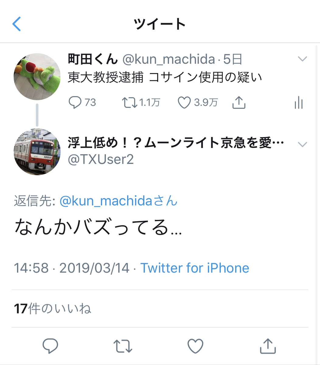 私の中の幻想的世界観及び（中略）一考察（もしもあなたがバズったら