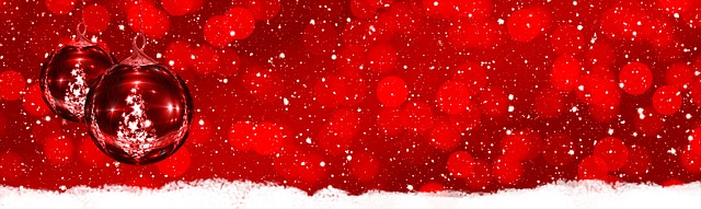 f:id:kuninn:20190120202940j:plain
