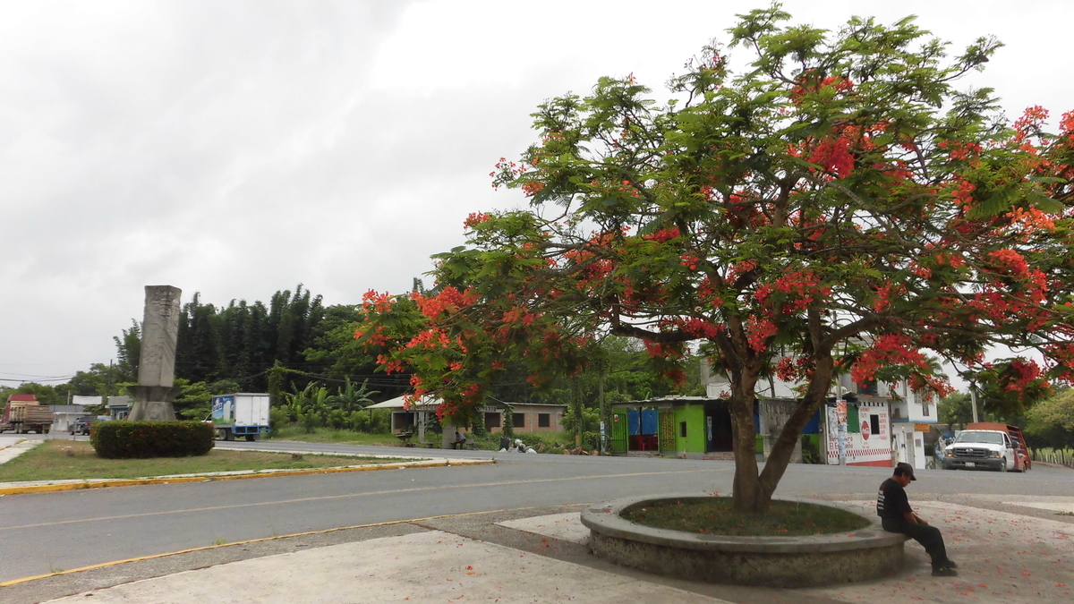f:id:kunitabi:20200710172423j:plain f:id:kunitabi:20200710172423j:plain