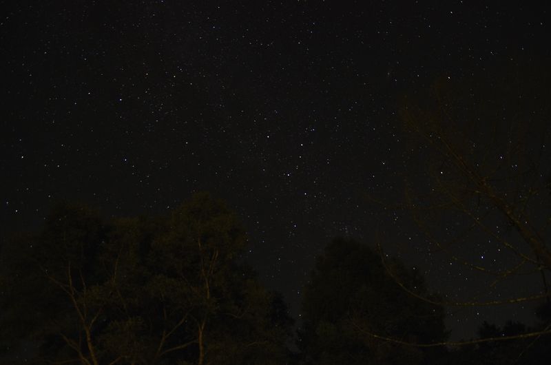 五光牧場の星空