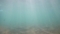 吉浜　海の中