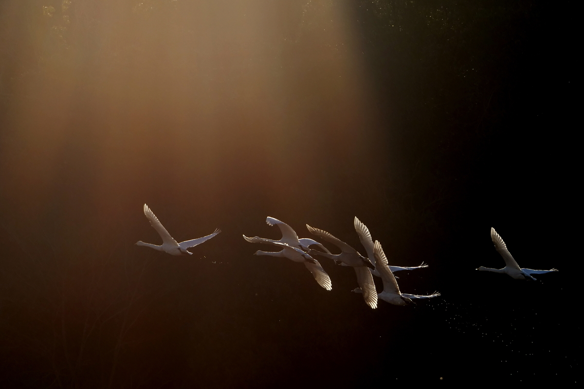 f:id:kuniyuki1976:20210530010442j:plain