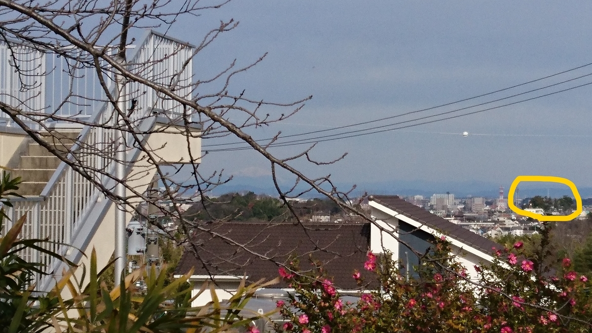 f:id:kunkunpanda:20200322230159j:plain