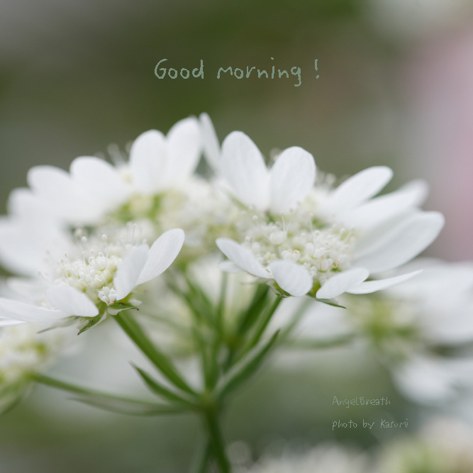 f:id:kunkunyogi:20220408082131j:plain