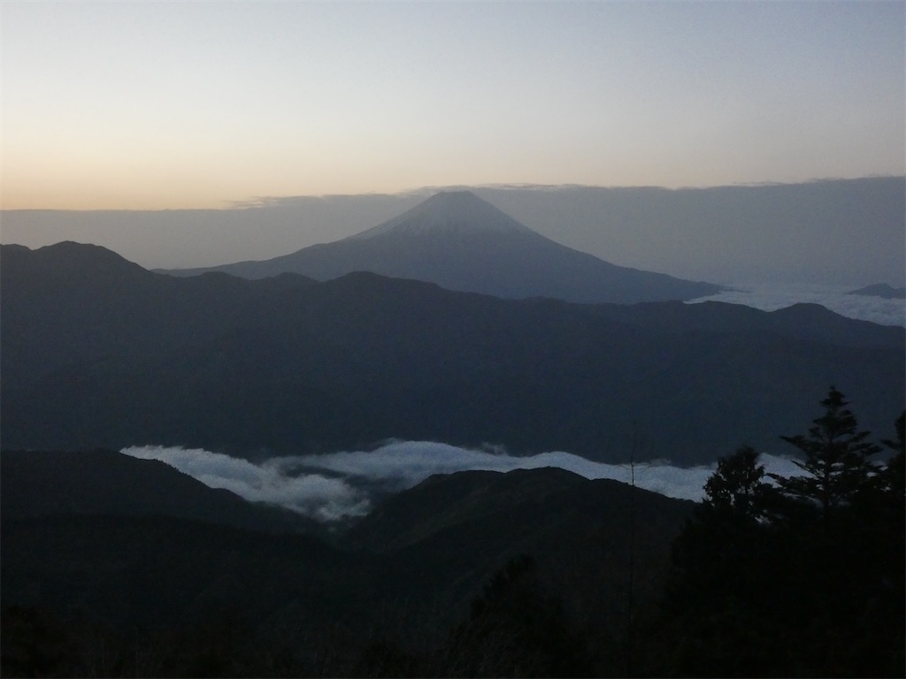 f:id:kunpu3684:20210501114852j:image f:id:kunpu3684:20210501114852j:image