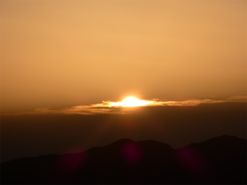 f:id:kunpu3684:20210501114856j:image f:id:kunpu3684:20210501114856j:image