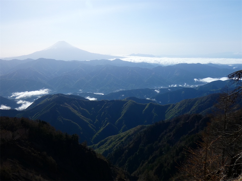 f:id:kunpu3684:20210501115510j:image f:id:kunpu3684:20210501115510j:image