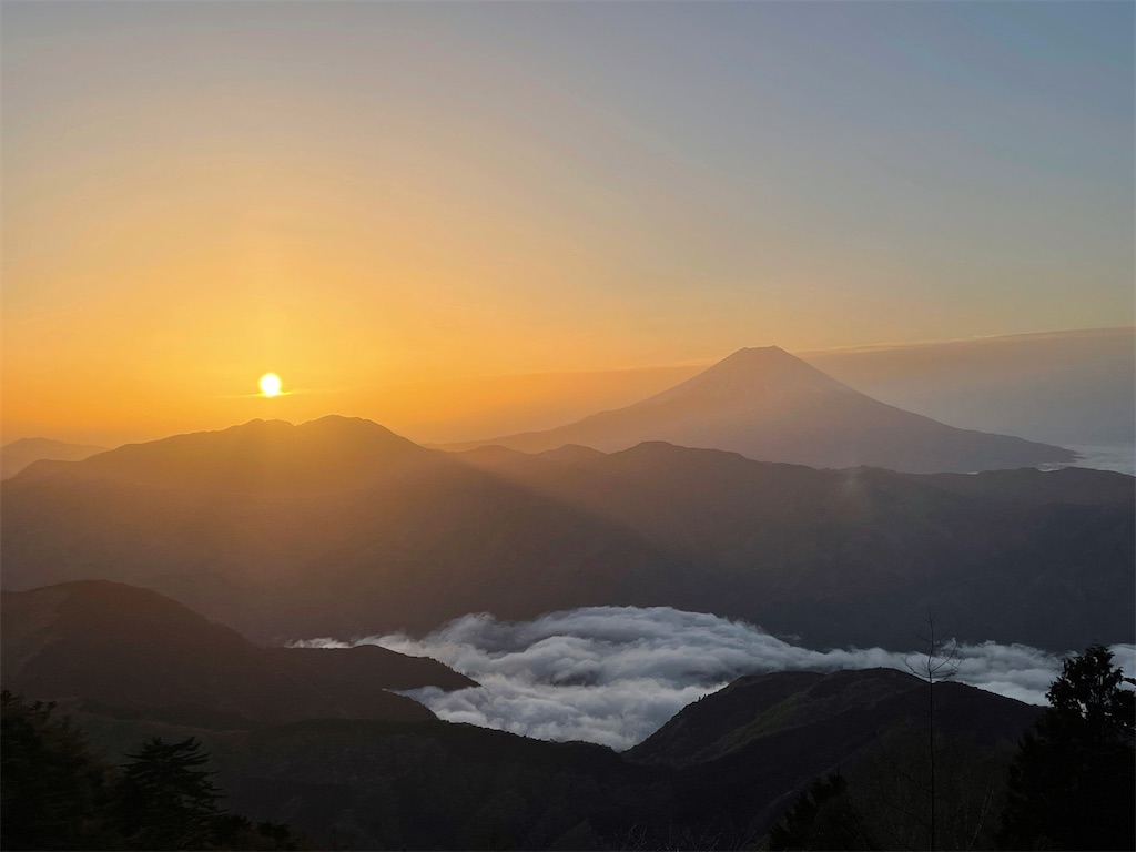 f:id:kunpu3684:20210501223216j:image f:id:kunpu3684:20210501223216j:image