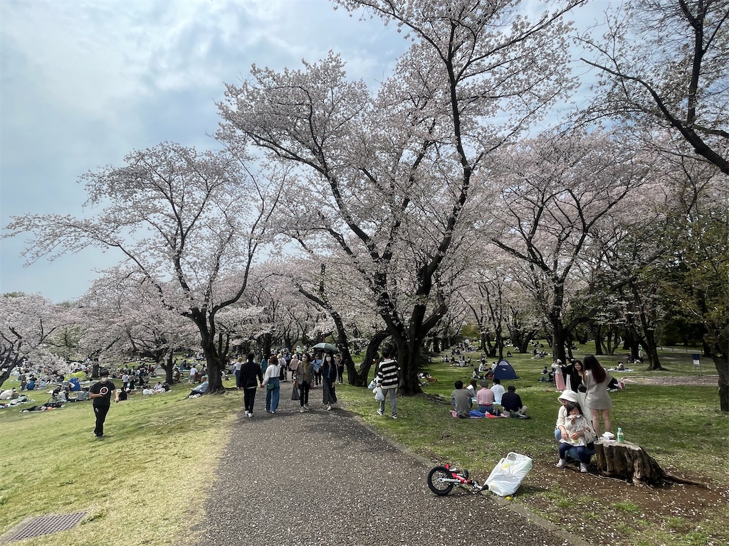 f:id:kunpu3684:20260530142910j:image