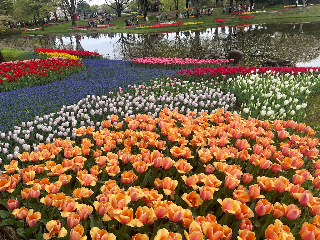 f:id:kunpu3684:20260530142921j:image