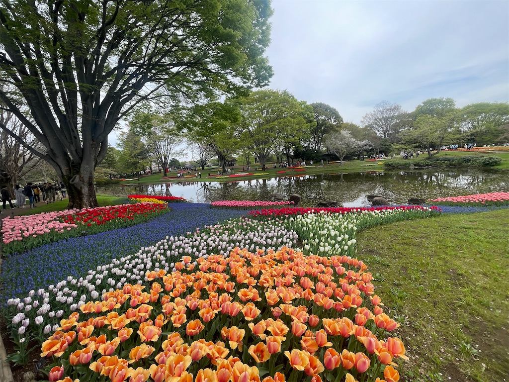 f:id:kunpu3684:20260530142951j:image