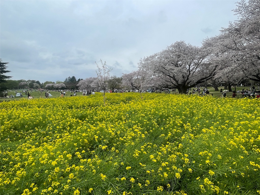 f:id:kunpu3684:20260530142957j:image
