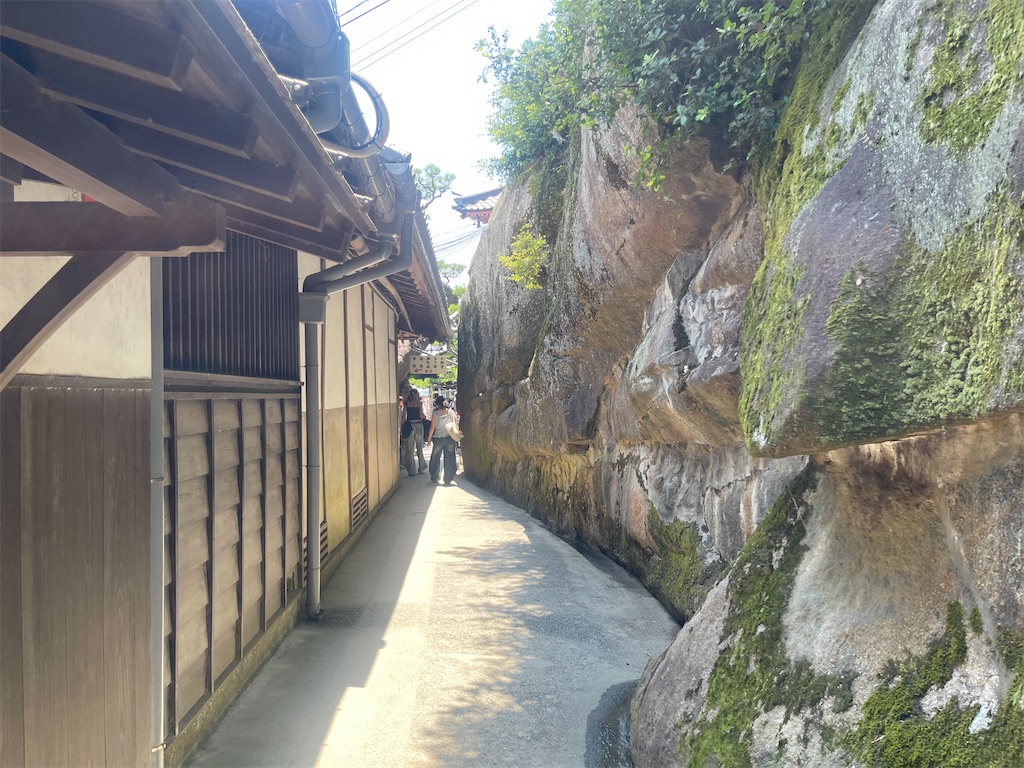 f:id:kunpu3684:20260730212433j:image