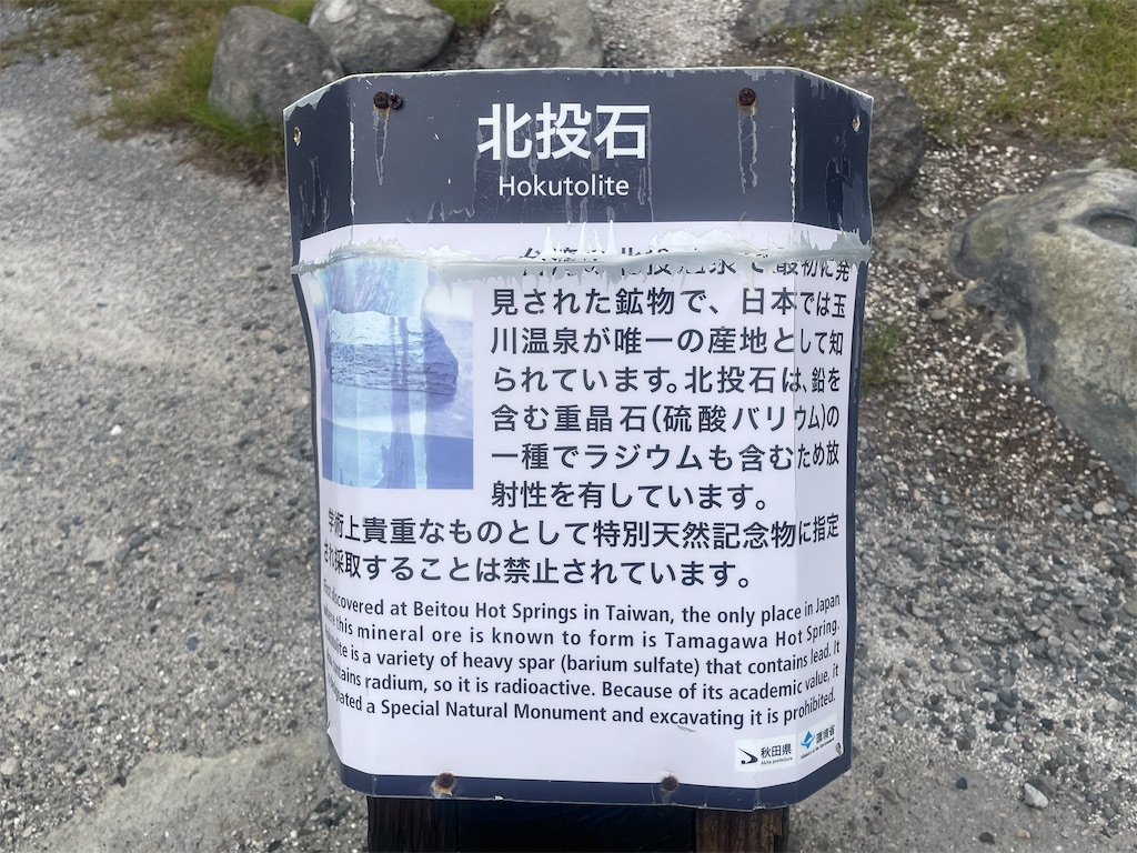 f:id:kunpu3684:20260906191855j:image