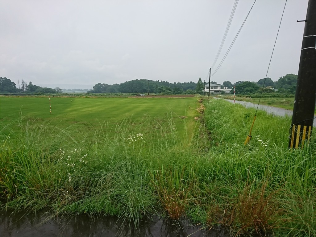 f:id:kunta-kinya:20180619101141j:plain