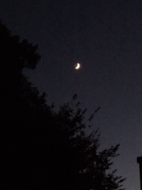 f:id:kunta-kinya:20250730000544j:image