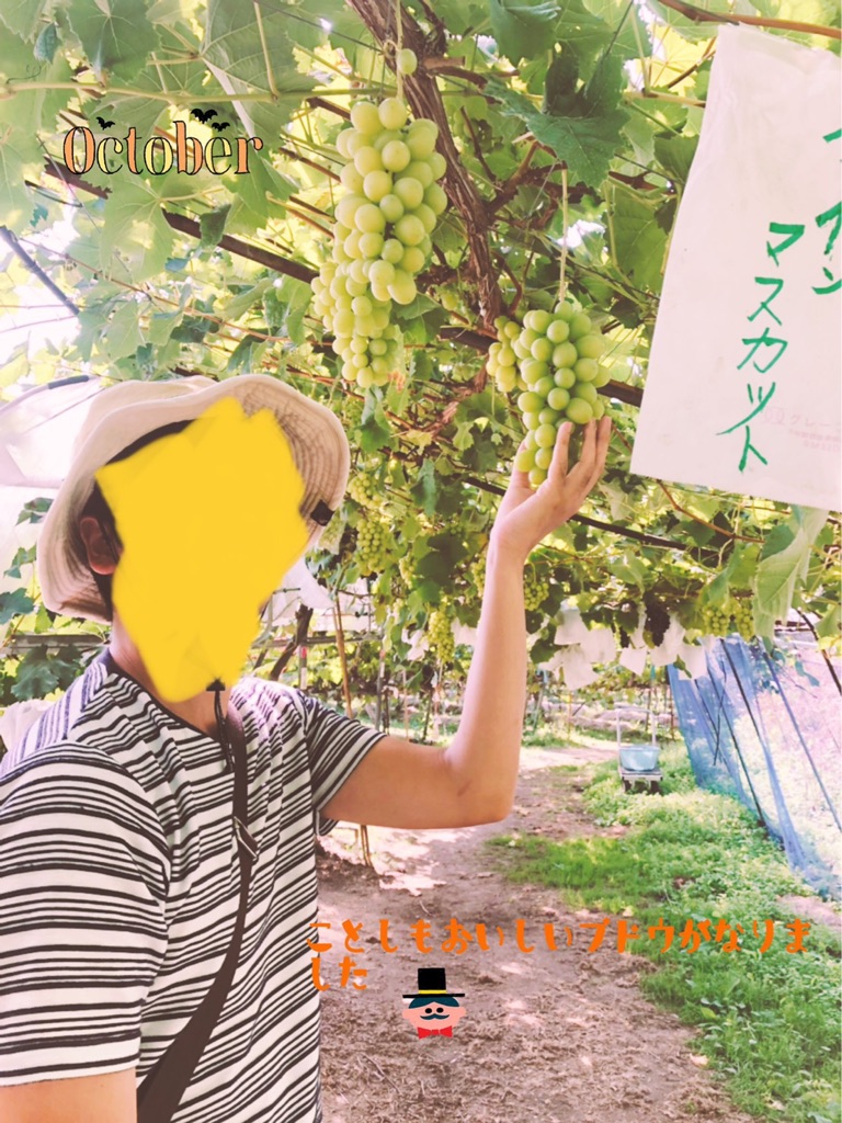 f:id:kunta0315:20191007223942j:plain f:id:kunta0315:20191007223942j:plain