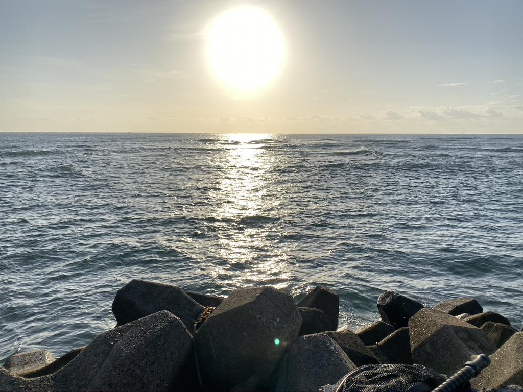 f:id:kunta0315:20191110214525j:plain f:id:kunta0315:20191110214525j:plain