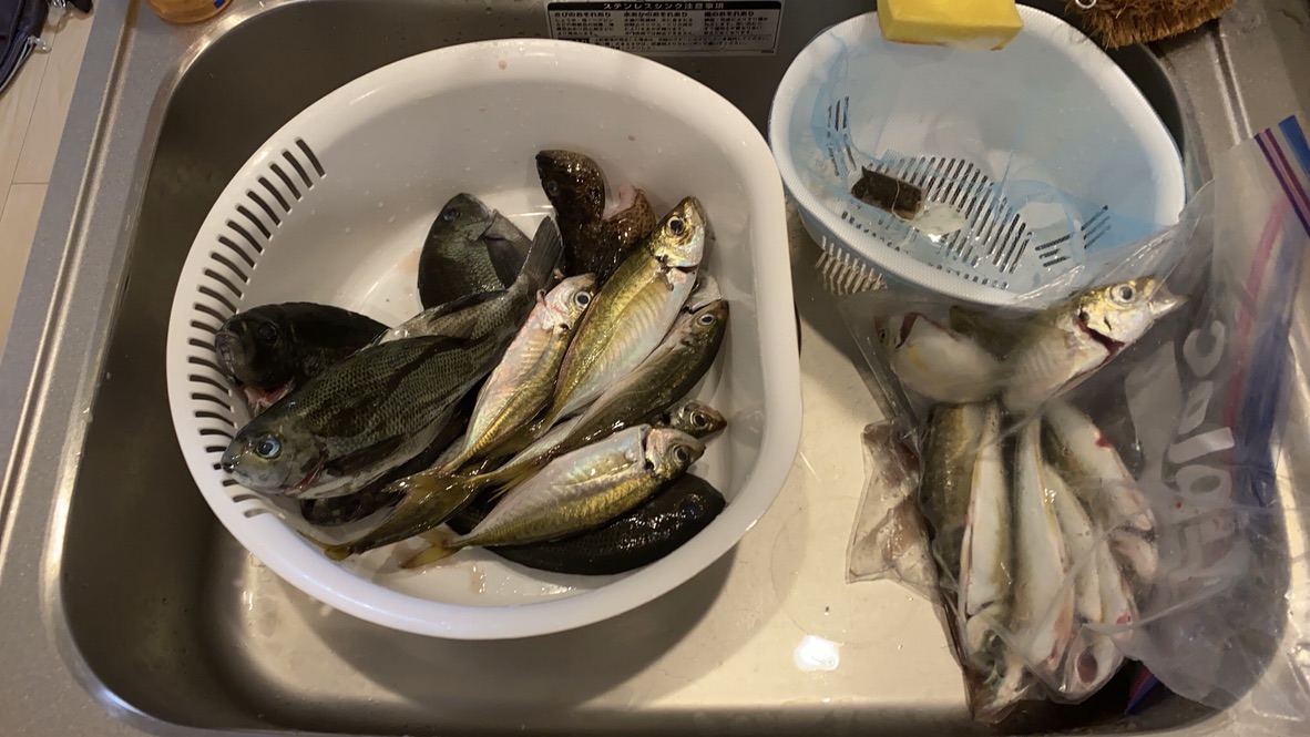 f:id:kunta0315:20191110215051j:plain f:id:kunta0315:20191110215051j:plain
