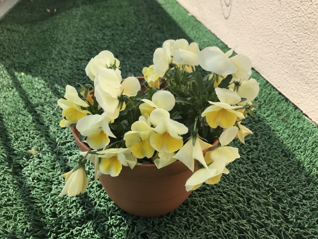 f:id:kunugiz:20180401135633j:plain:w500 f:id:kunugiz:20180401135633j:plain:w500