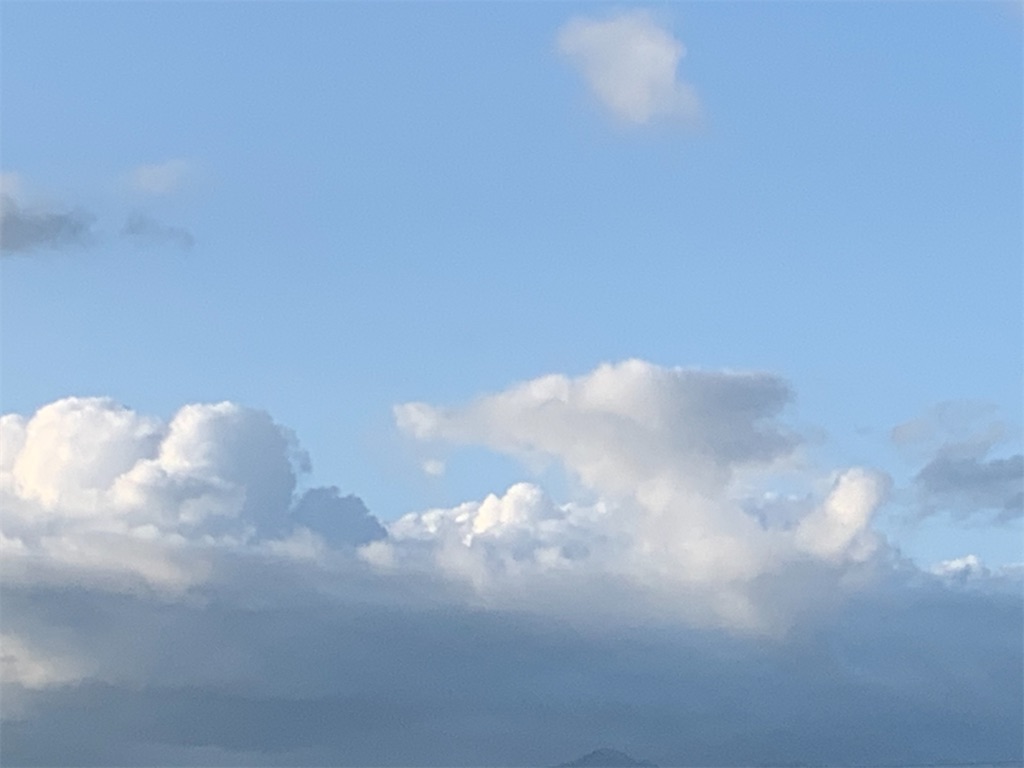 f:id:kuoshunhaw:20200530211601j:image f:id:kuoshunhaw:20200530211601j:image