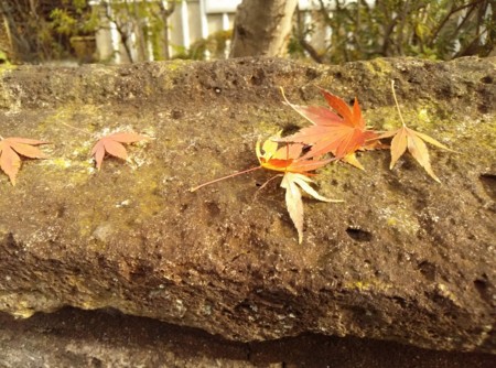 f:id:kupeco:20141222225754j:image