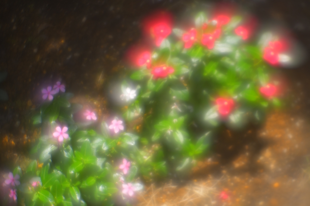 f:id:kuphoto2020:20200607211012j:plain