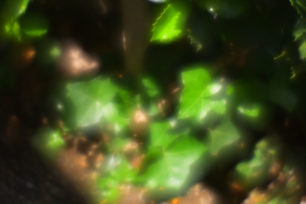 f:id:kuphoto2020:20200608134515j:plain