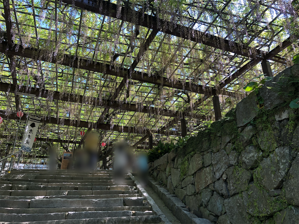 f:id:kuppy-27:20190503213104p:image f:id:kuppy-27:20190503213104p:image