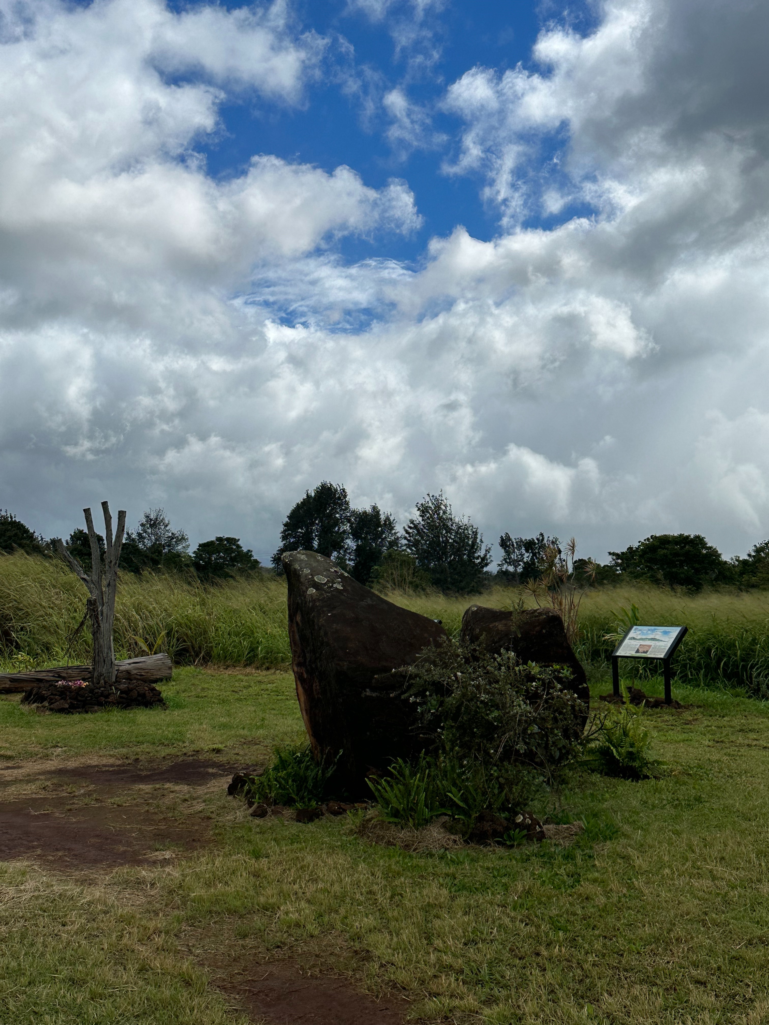 f:id:kupuna:20240203201849j:image