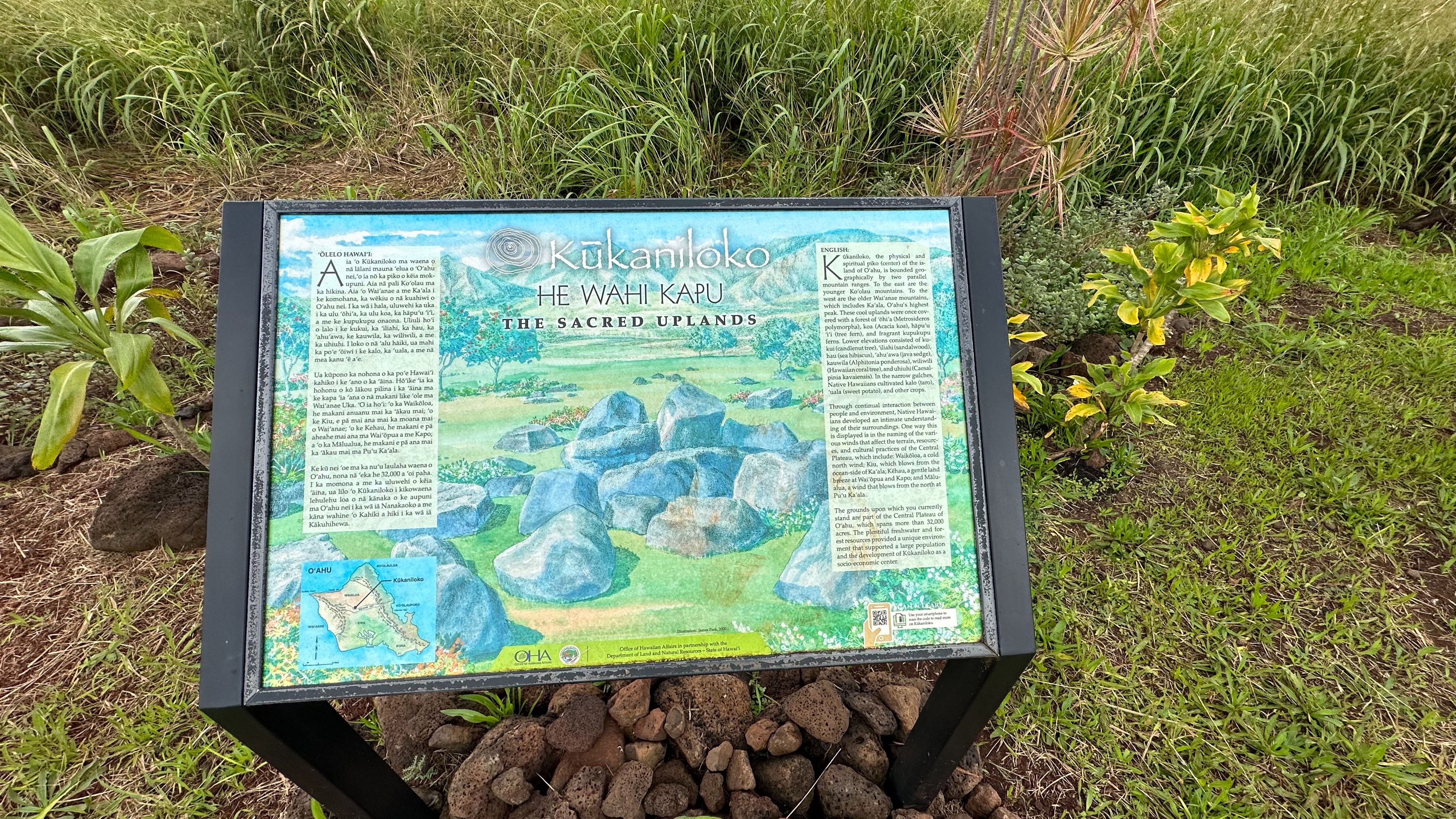 f:id:kupuna:20240203201931j:image