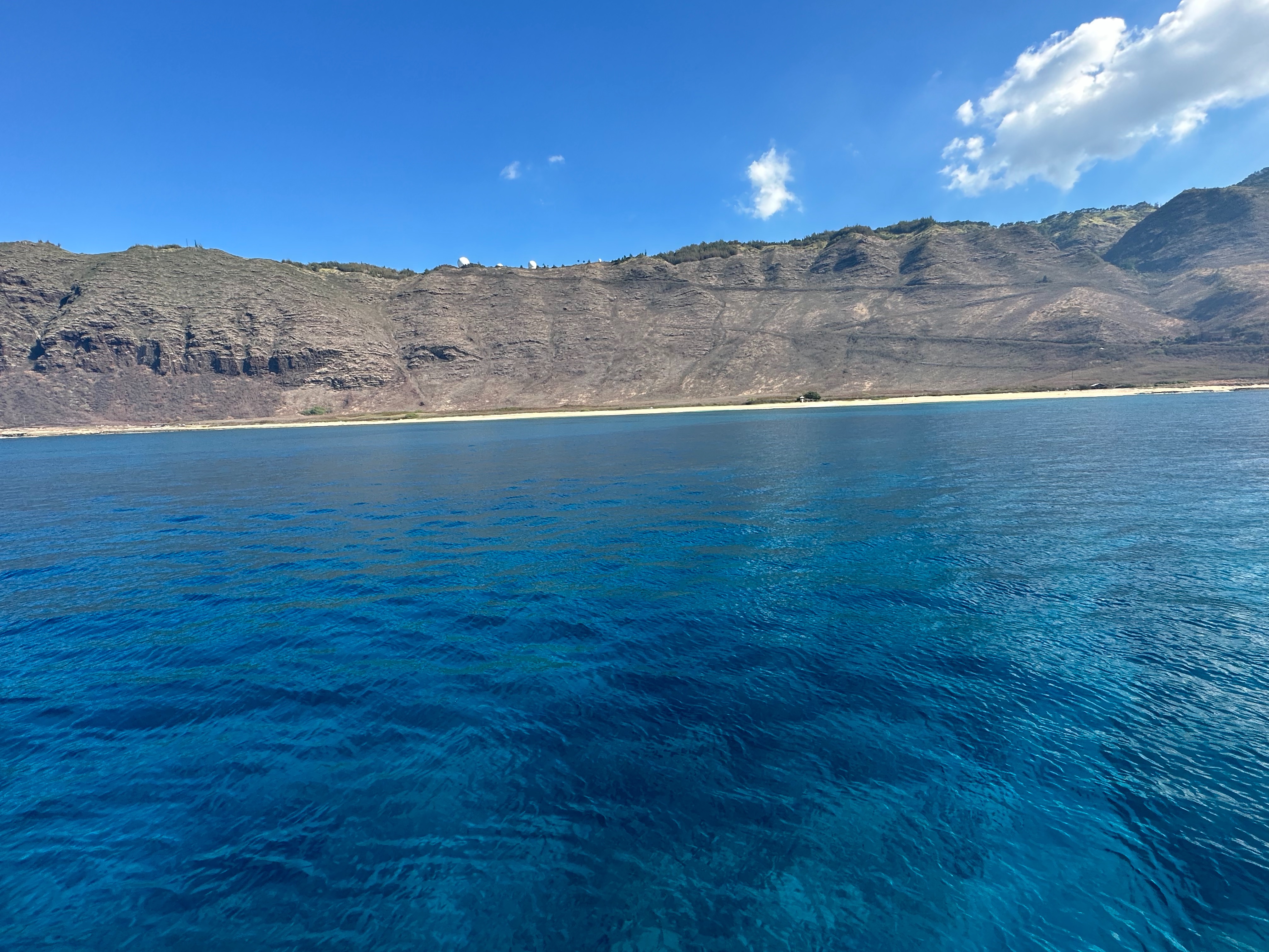 f:id:kupuna:20240203202159j:image