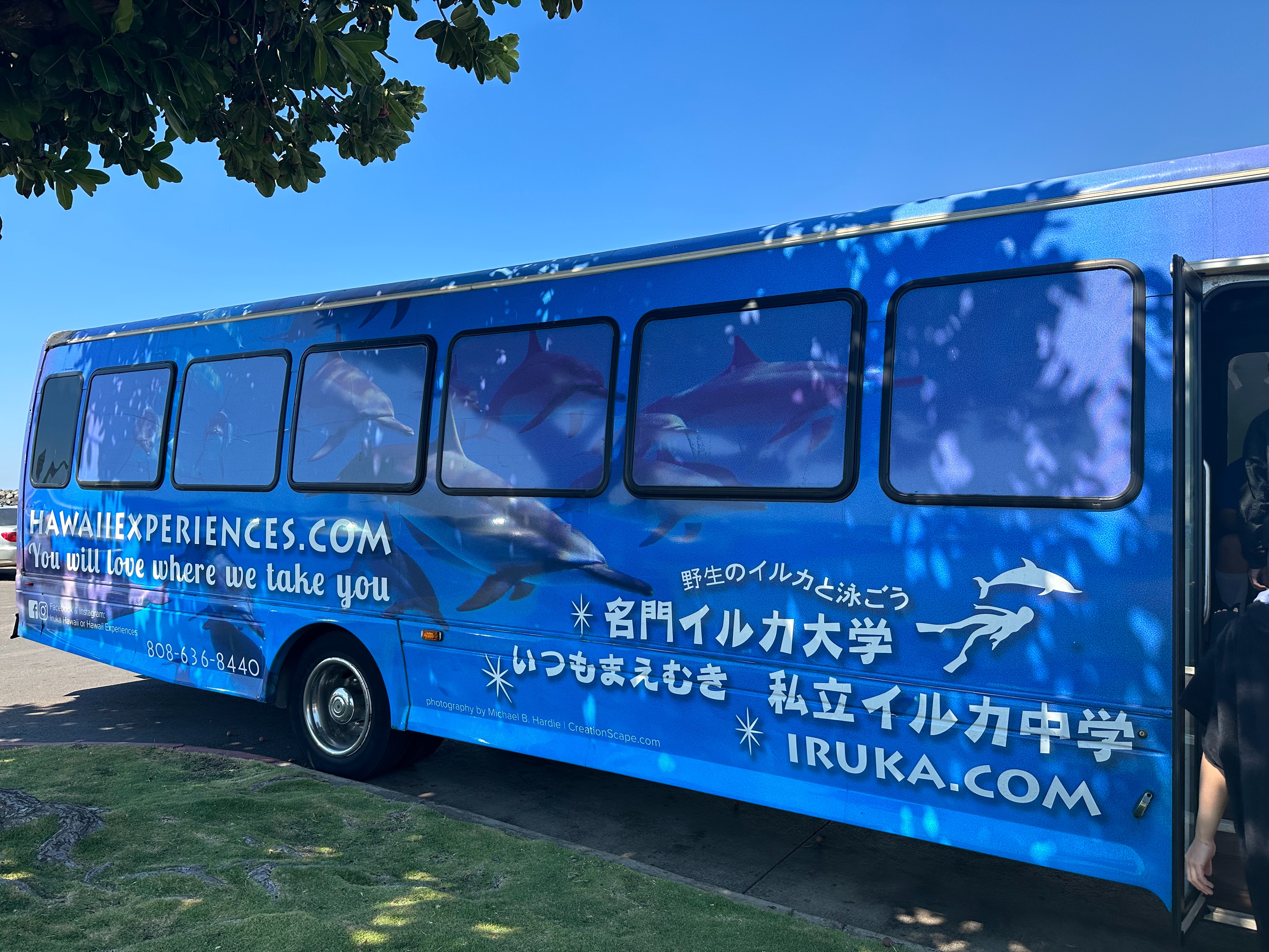 f:id:kupuna:20240203202210j:image