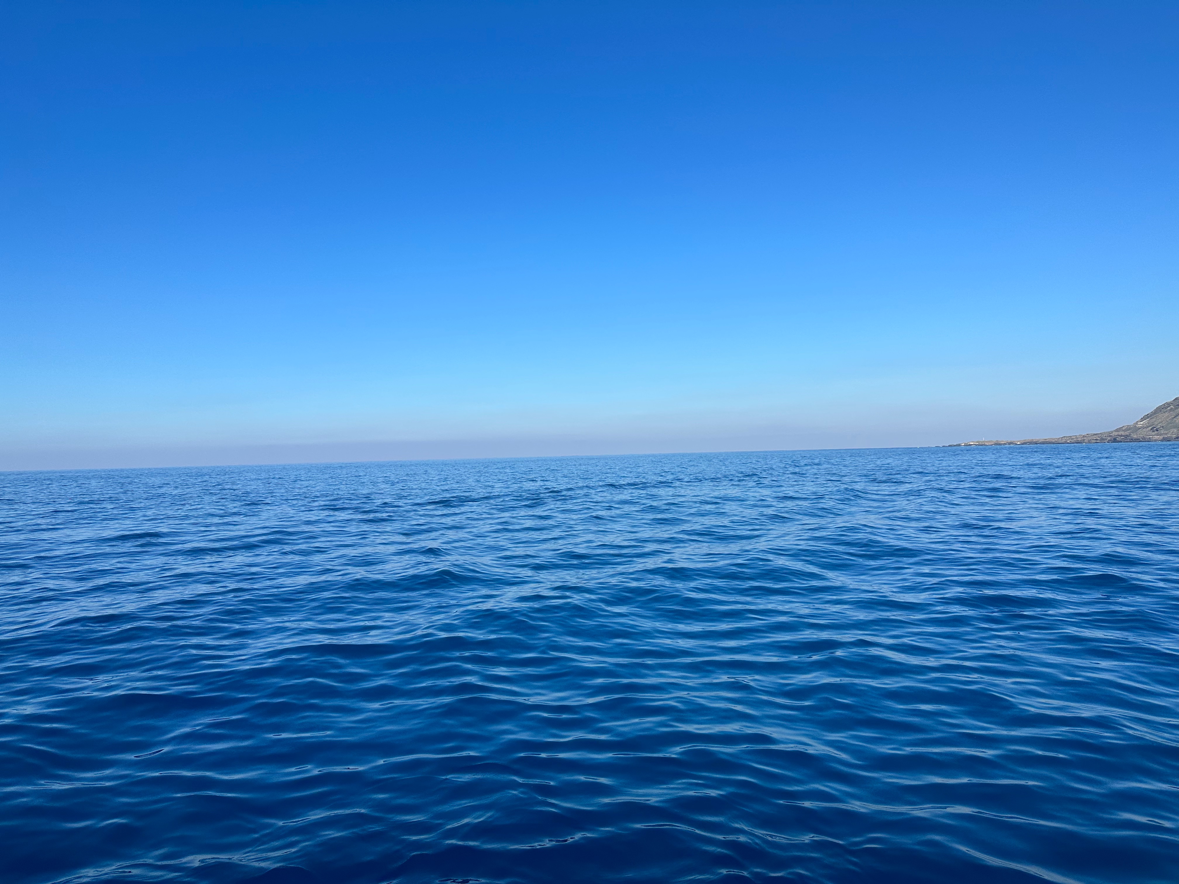 f:id:kupuna:20240203202305j:image