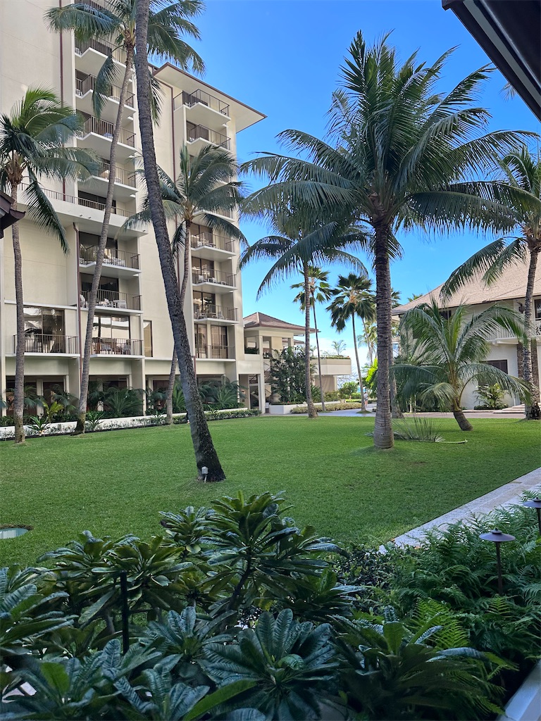 f:id:kupuna:20240207074320j:image