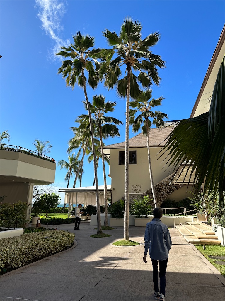 f:id:kupuna:20240207074336j:image
