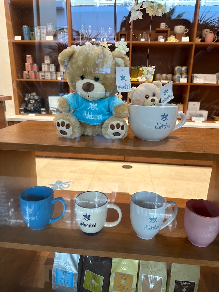 f:id:kupuna:20240207074340j:image