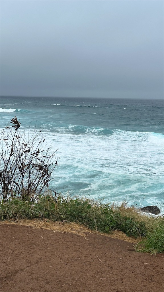 f:id:kupuna:20240208210705j:image