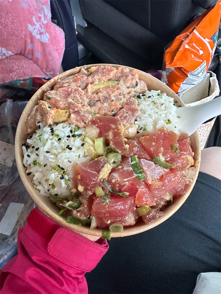 f:id:kupuna:20240211212747j:image