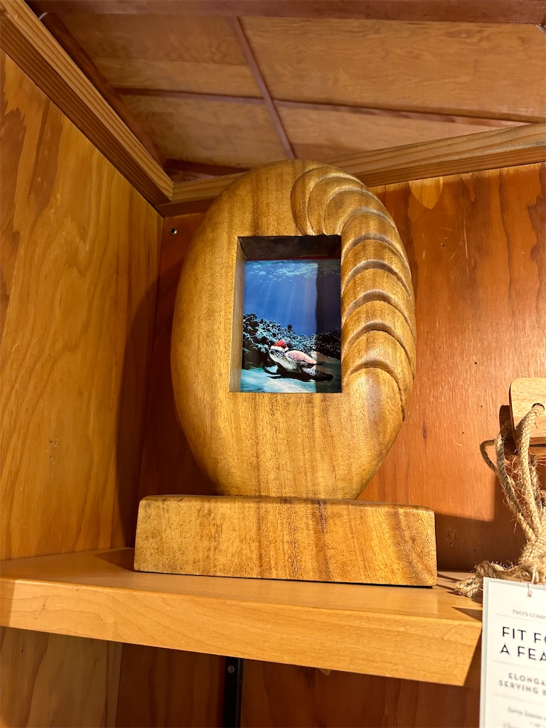 f:id:kupuna:20240211212801j:image