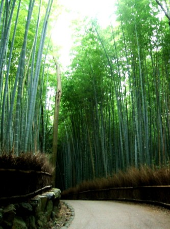 f:id:kurabou:20090914154448j:image