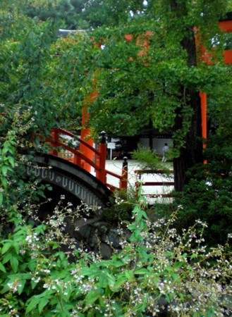 f:id:kurabou:20090915112922j:image