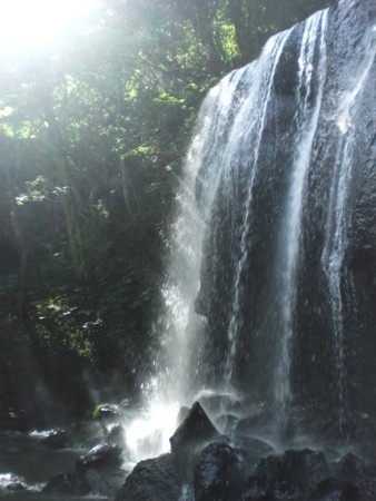 f:id:kurabou:20100720150835j:image
