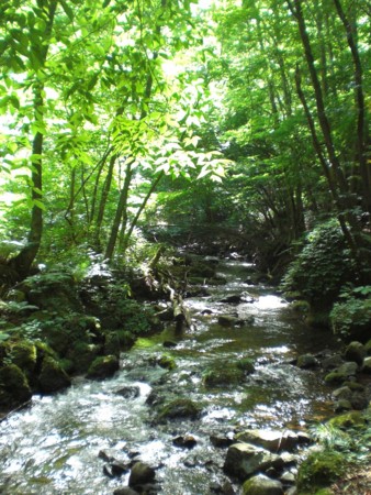 f:id:kurabou:20100723231854j:image