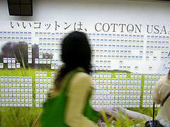 COTTON USAの広告