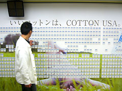 COTTON USAの広告