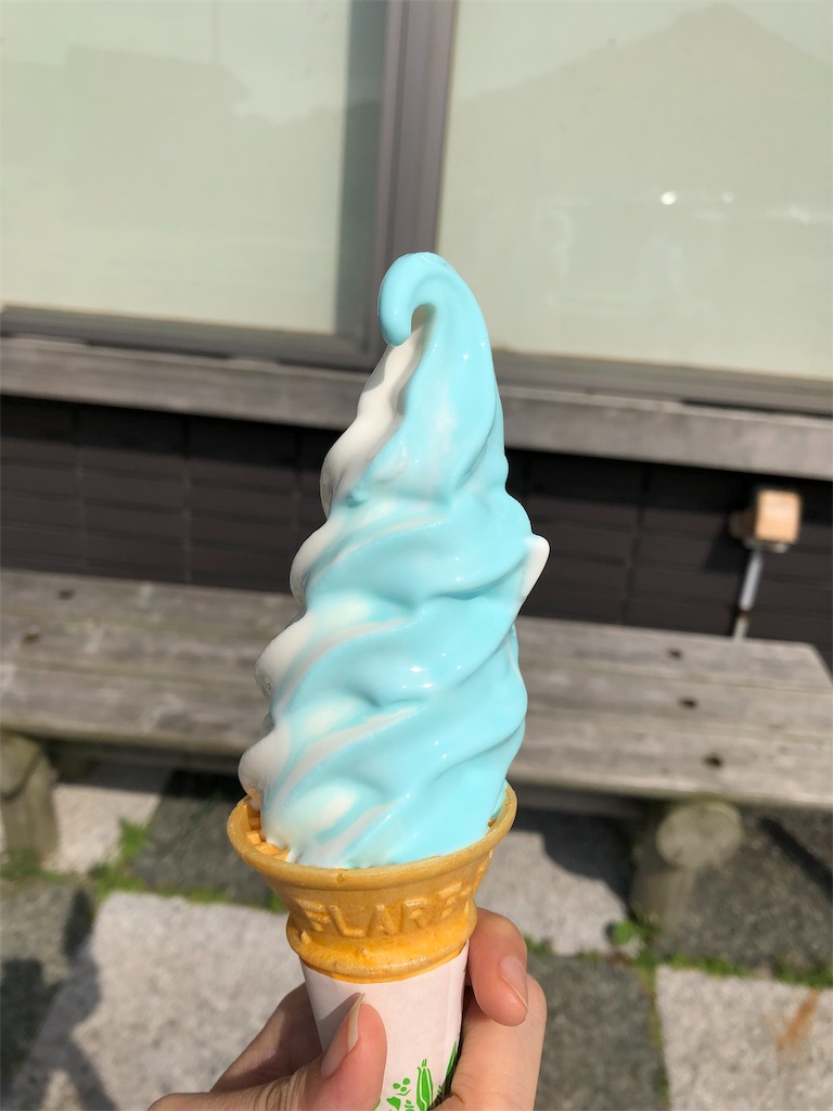 f:id:kurae-omiz:20190826095710j:image f:id:kurae-omiz:20190826095710j:image