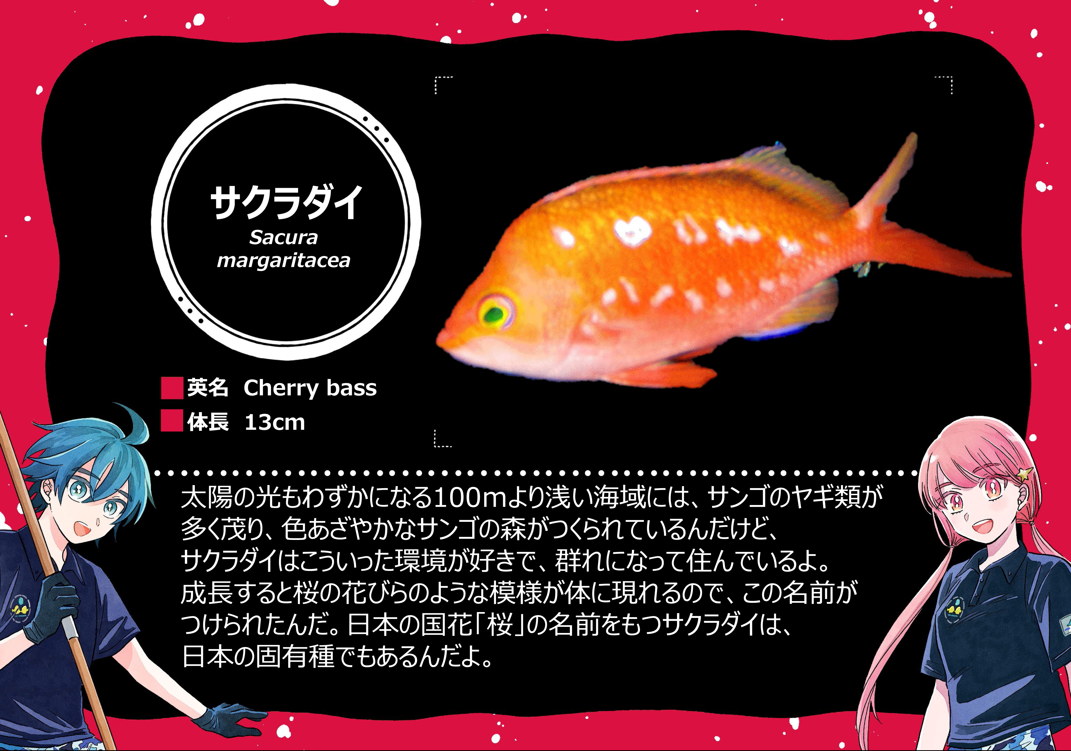 f:id:kuragebunch:20210210200516j:plain