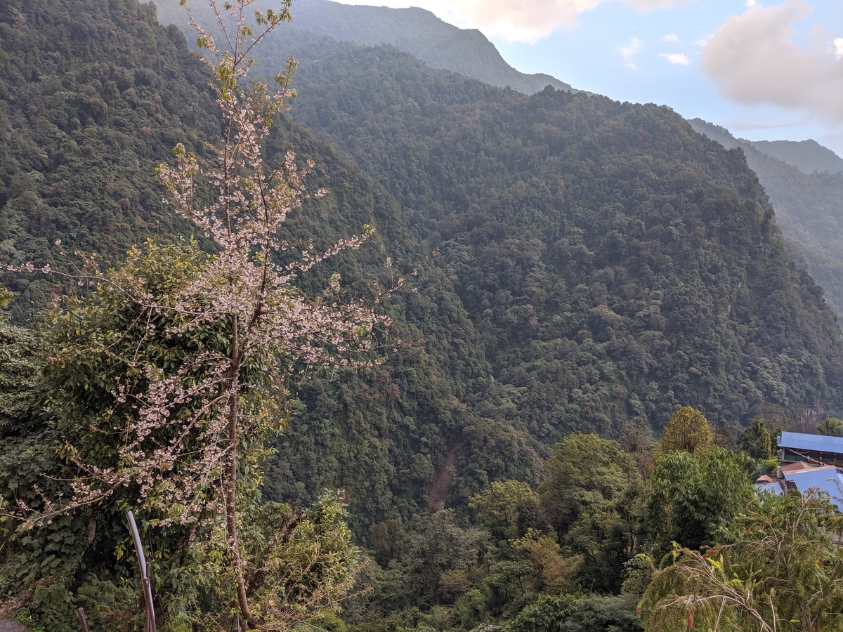 f:id:kuragekato:20191103165810j:plain