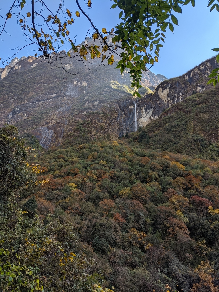 f:id:kuragekato:20191105100840j:plain